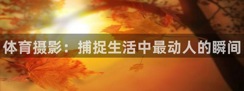 678体育app：体育摄影：捕捉生活中最动人的瞬间
