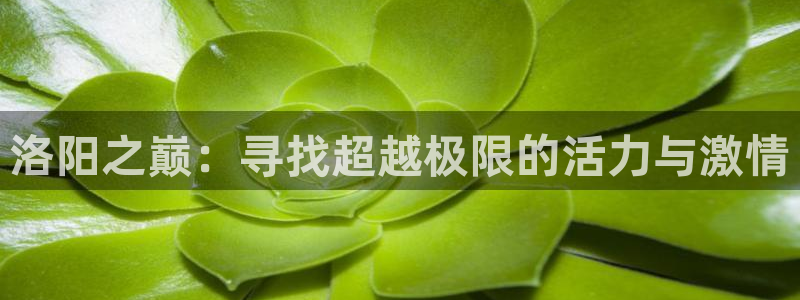 678体育知识：洛阳之巅：寻找超越极限的活力与激情