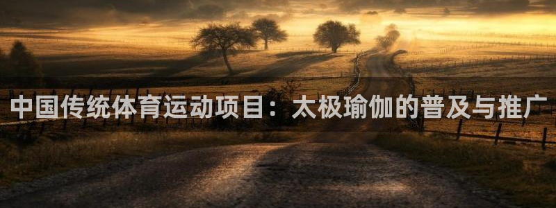 678体育官网下载：中国传统体育运动项目：太极瑜伽的普及与推广