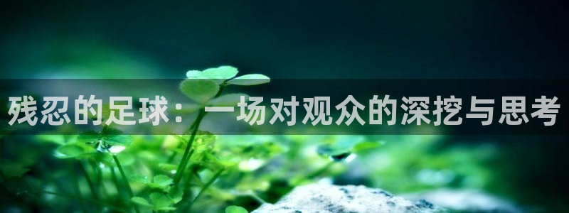 678体育知识：残忍的足球：一场对观众的深挖与思考