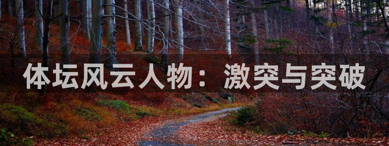 678体育官网：体坛风云人物：激突与突破
