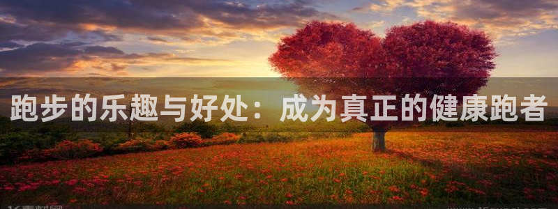 678体育：跑步的乐趣与好处：成为真正的健康跑者