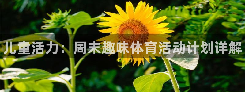 皇冠678体育：儿童活力：周末趣味体育活动计划详解
