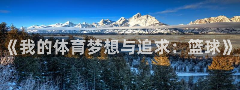 678体育官网：《我的体育梦想与追求：篮球》