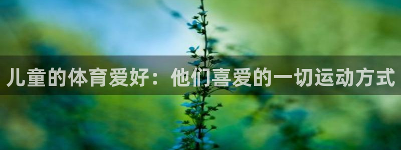 678体育官网地址：儿童的体育爱好：他们喜爱的一切运动方式