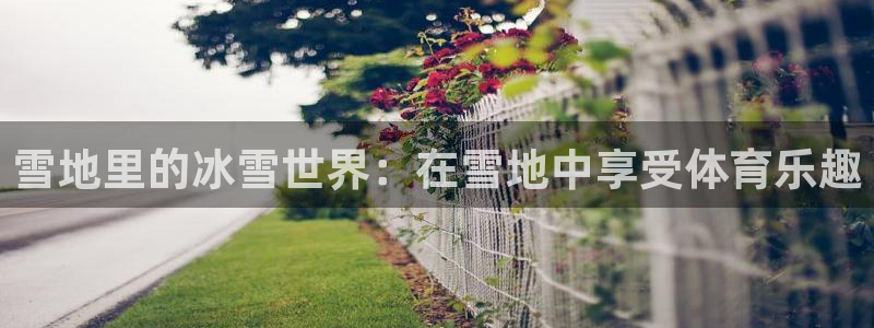 678体育知识：雪地里的冰雪世界：在雪地中享受体育乐趣