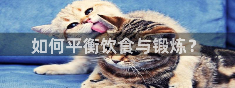 678体育官网下载：如何平衡饮食与锻炼？