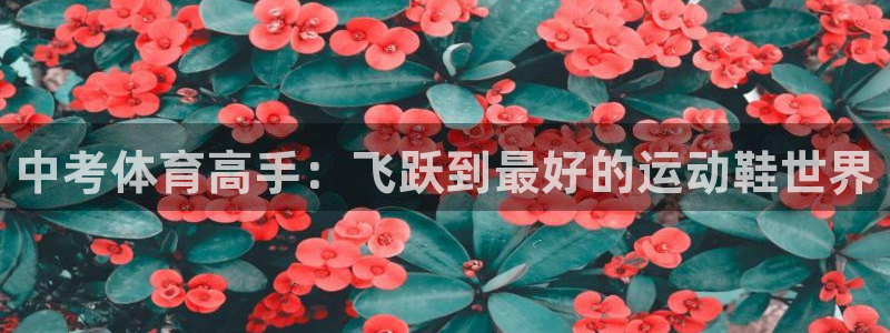 678体育官网下载：中考体育高手：飞跃到最好的运动鞋世界