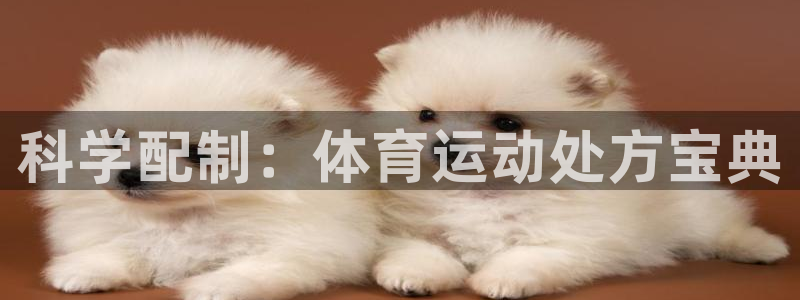 678体育app：科学配制：体育运动处方宝典