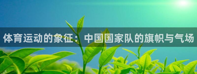 678体育官网下载：体育运动的象征：中国国家队的旗帜与气场
